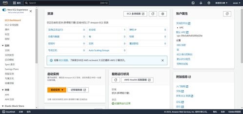 亚马逊云服务器搭建与互联网域名注册图文详解教程